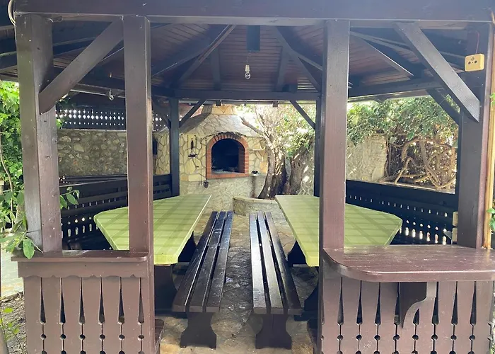 Solis 스베티 페타르